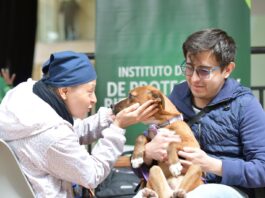 Iniciaron las jornadas de esterilización del IDPYBA en la Universidad Nacional