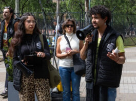 Más de 2.000 personas, entre estudiantes y público en general, han participado en el programa de Mediación de la Bienal BOG25
